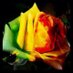 (::)(:)(::)(:)(::) (@huffy2014) Twitter profile photo
