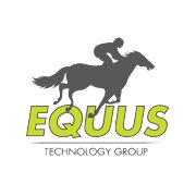 Consulting services, software development and marketing for the gaming industry.