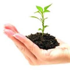 Creating new business ecosystems in non-urban communities