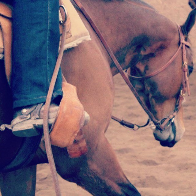 interests: cute horses and cute cowboys
