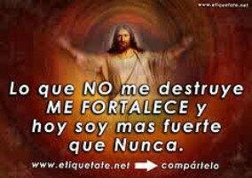 WladimirCalos's profile picture. Revolucionario radical y 100% Chavista