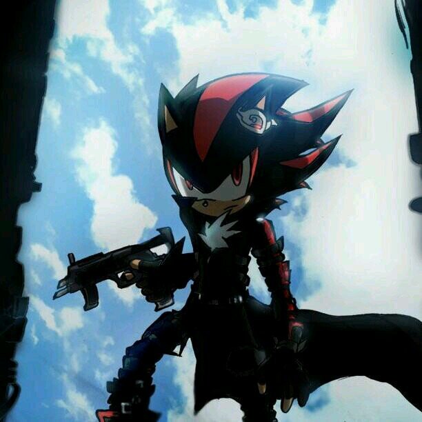 Shadow,shadow the hedgehog THE ultimate life form a fight you want is a fight you'll get