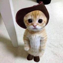 笑撃猫画像BOT