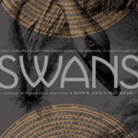 SWANS(@Swansband) 's Twitter Profileg