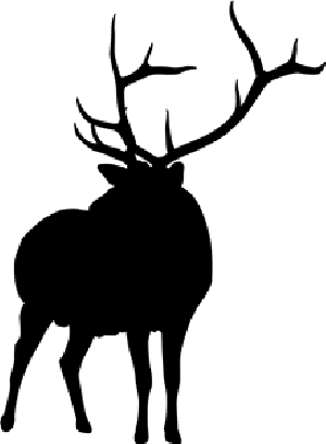 Death_FromBelow's profile picture. BAMF