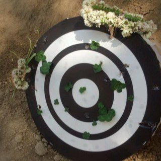 a_azuk's profile picture. 秋田市立桜中学校→尚志高校二年理系 2G8／AAA／関ジャニ／セカオワ／flumpool／HY／ゆず／Greeeen／キスマイ／LOVE❤