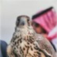 واغني ب\ عز الصمت ي عيني حظناا تعباننٍ                                  فديت  الهلال