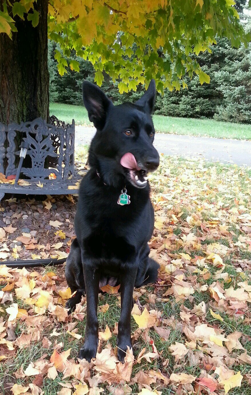 kelceyleigh89's profile picture. 