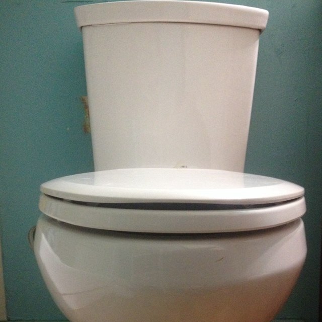 Mild mannered toilet, looking for a good time.
