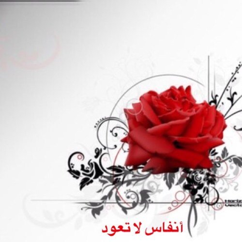 rukegatob's profile picture. كن مع الله كما يريد يكن لك فوق ماتريد..