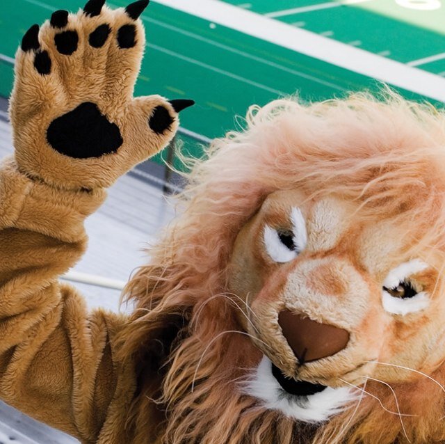 #TCNJCrushes #TCNJLove #LionLove ;) Submit anonymously -- click the link below