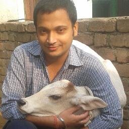 meditation lover,animal lover, eats lot of sweet, software engineer ,news enthusiast, philosopher, love to meet different people. .and follows back :)