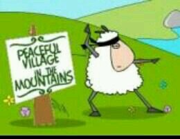 kramergm8's profile picture. Ninja schapen leider