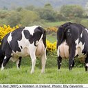 Jim Griggs - @jimmygriggs10 - Twitter