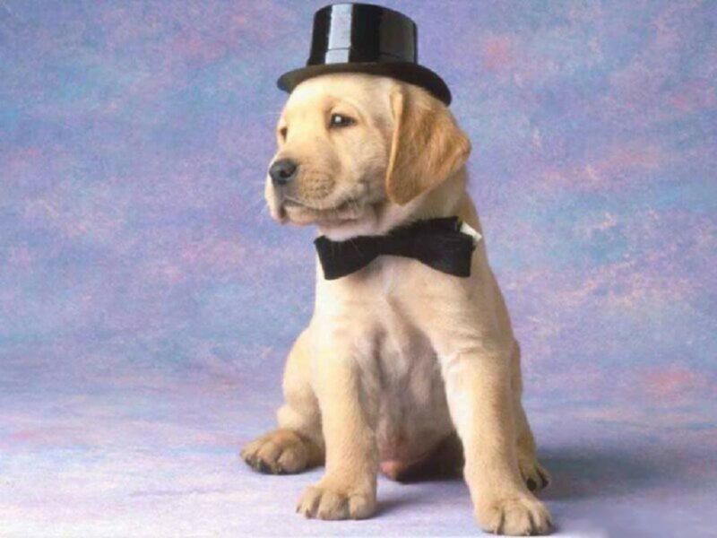 tmasonlnd's profile picture. 