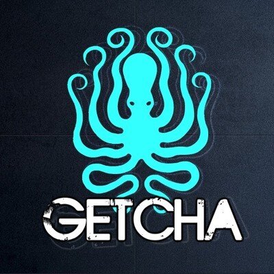 GetchaRecords's profile picture. Bass Music Label