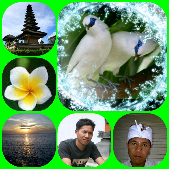 putra__wijaya's profile picture. ^~ Speaking comes by nature,silence by understanding☀~ I blive with karma & actualy God & family  is all 4 mi ~☀RiusAqua☀~