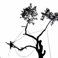 DB TREE CARE LTD (@dbtreecare) Twitter profile photo