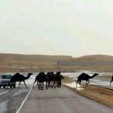 سلطان الععنزي (@11Bnv) Twitter