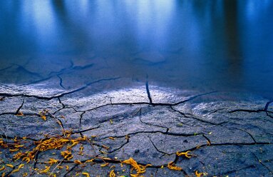 SomogyiMarkArt's profile picture. Photographer, artist, designer, web developer. Owner of smArt web design & design studio (https://t.co/Vv2ZtOAolT).