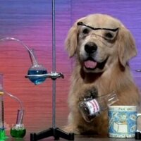 player1 (@player1) 's Twitter Profile