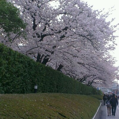 新築住宅欠陥大手ハウスメーカーセ ス ハイム Cozya78 Twitter 新築住宅欠陥大手ハウスメーカーセ ス ハイム Cozya78 Twitter