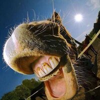 Martyn Peter Quinn (@quinny133) 's Twitter Profile