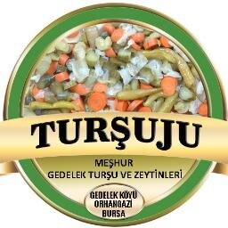 Turşu, Zeytin, Turşu Suyu, Turşu Satışı, Toptan Turşu, Toptan Zeytin, Turşuju, E-ticaret Turşu Satışı - Tel: 0850 302 99 16