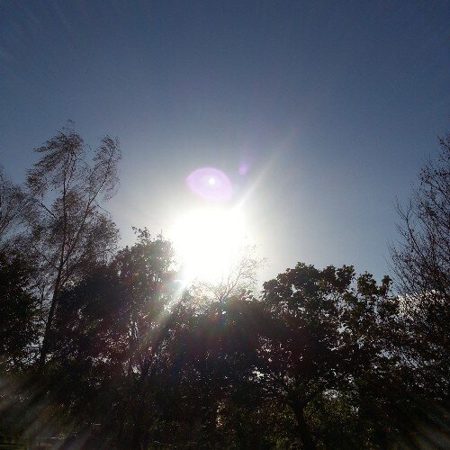 zonlogisch's profile picture. De zon is uniek en heeft oneindig veel energie. Zo logisch dus om deze energie optimaal te benutten!