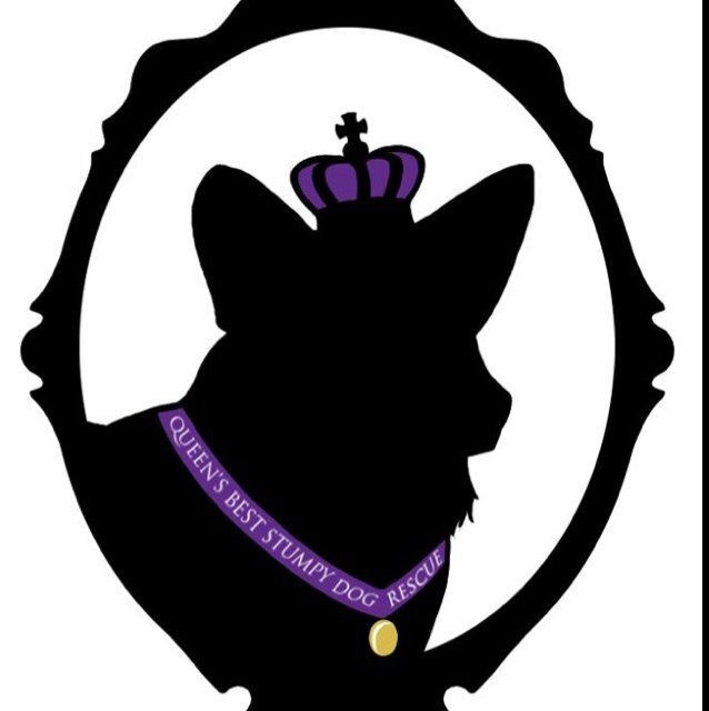 queens best stumpy dog rescue queens best stumpy dog rescue