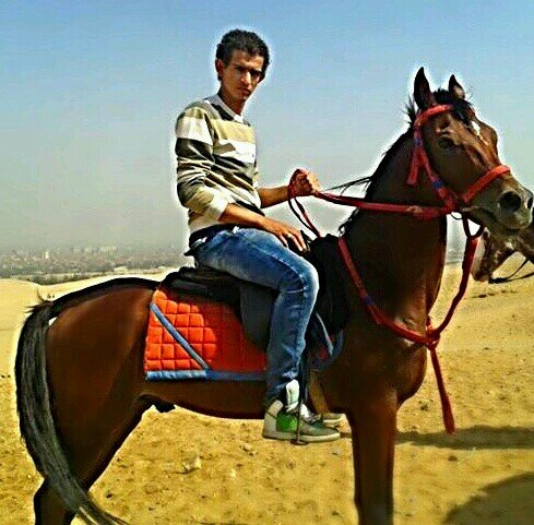 ‏أإآنأ زي أإآي حد بحب الاهلي وبرشلونه وبحب اصحأإبي واإآلضحك وأإآلعب وغير دا كلو واناإآأإآ بقا زي الناإآأر يا السعك ياأإآ تستفيد مني واإآفيدك ؛)