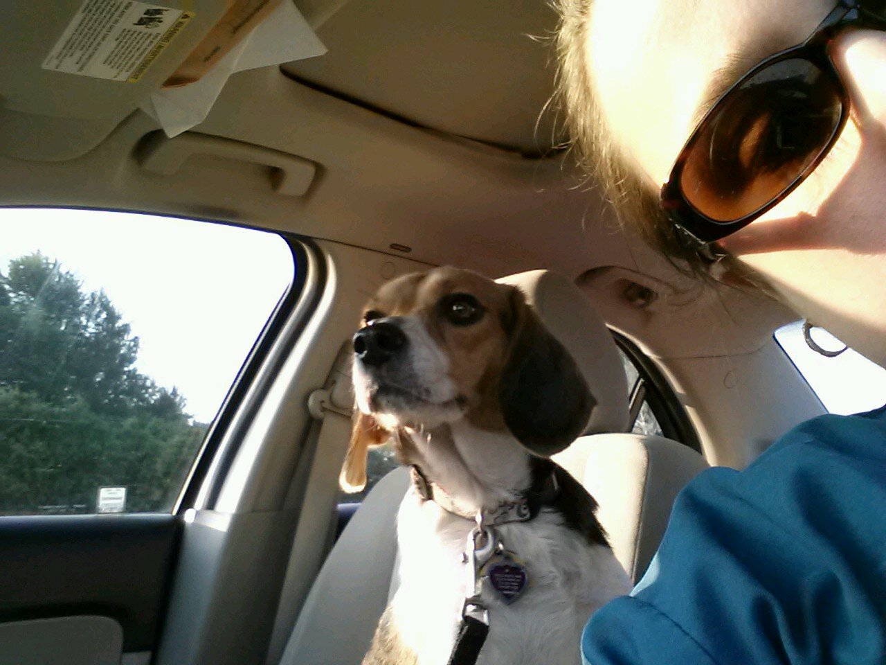 rxtech805's profile picture. 