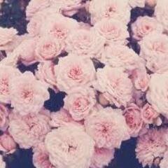 it's not going to matter how many breaths you took, but how many moments took your breath away
