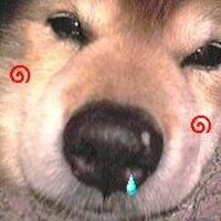 薫 @ 戸籍通り (@kaoru_55) 's Twitter Profile Photo