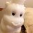 わいあーるのアイコン