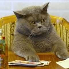 BadBort's profile picture. dotnet developer since 2006
Interests in automation, telemetry, robotics, enterprise architecture, game architecture
Hobbies: 4x4ing, mtbing, gym, sleep