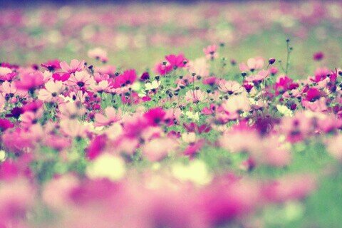 be happy and make others happy......!!!!!