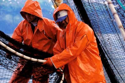 Earn $10k + Monthly as seen on Deadliest Fisherman tv show WITHOUT GOING TO ALASKA!! Get the How-to DVD!