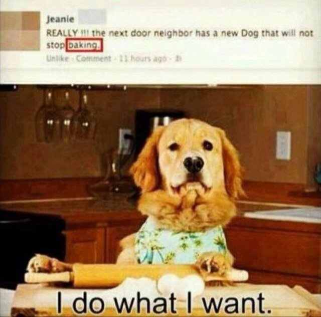Tweet us your pics doing whatever the fuck you want #DoWhatIWant
