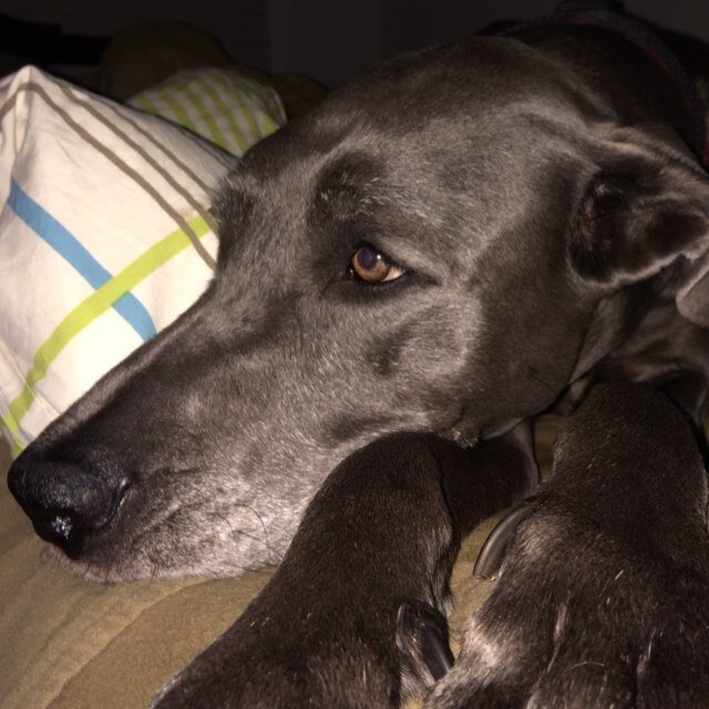 Britkrueger's profile picture. 