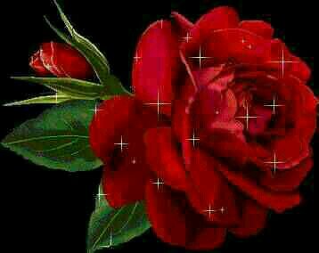 hammobi017's profile picture. 