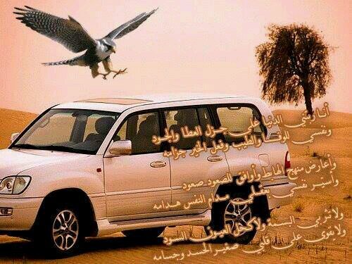 احَدُهَم عِبْث بِ قَلبْيَ فَ ﭑصِبحَ يَنبضُ بإسّمِہَ كِل دقيقَه