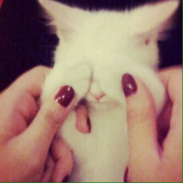 I lenoo , 20 old , i worry in love .
