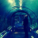 jesse mansfield - @LifeReceipt - Twitter