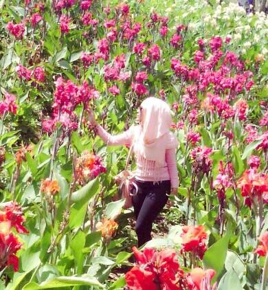 reearyaa's profile picture. Jazz-British-Rock lover | Chocolate-Ice Cream  Lover | Pink-White-Red Rose | Hijabers