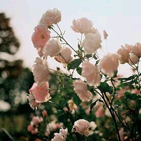التعلّق ب شخصٍ مُهمِل .. مؤلِمُ جداً#