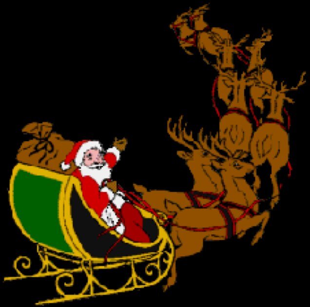 Tenemos 14 anos dando alegria y color a su navidad Visitanos!
