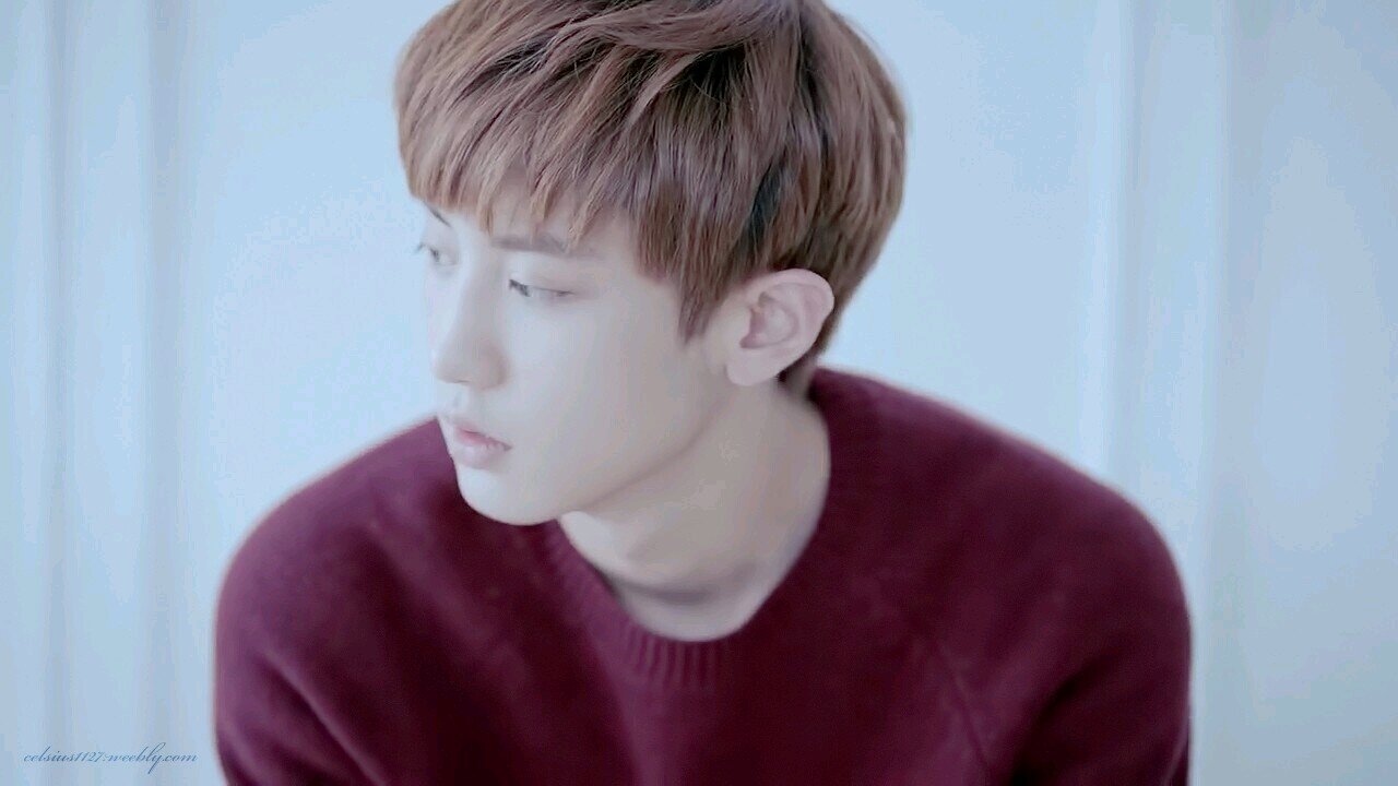 I support EXO. We are one! My Chanyeol