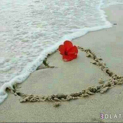 CvbbnVbnn's profile picture. 