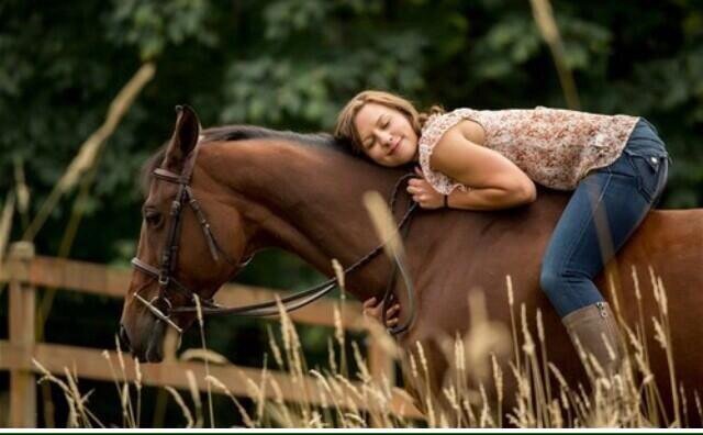 Dit is het officiëlle PaardenAccount. Hier vind je alles over paarden en retweetbare tweets!